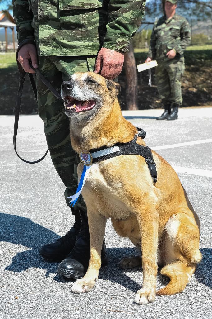 Αυτοπροσχέδιο