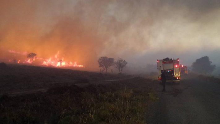 13501805_1184627604914756_2655225980885867030_n