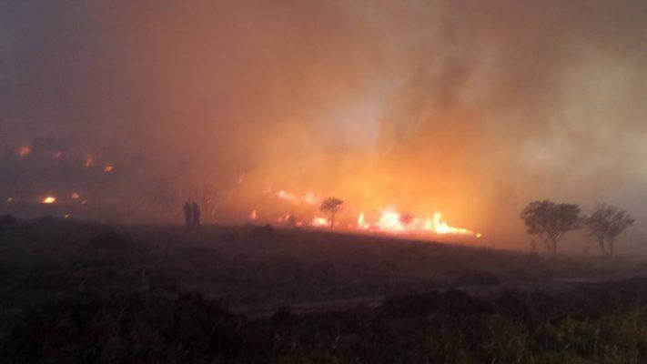 13509055_1184627648248085_1872363583704470814_n