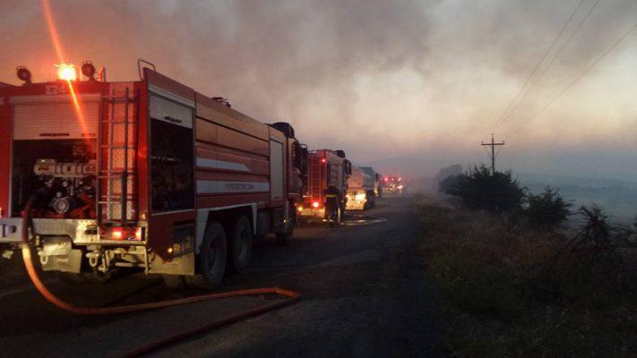 13509071_1184627508248099_8082196724116788984_n