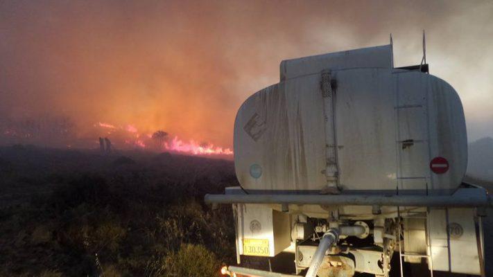 13533237_1184627584914758_6018358721442884015_n