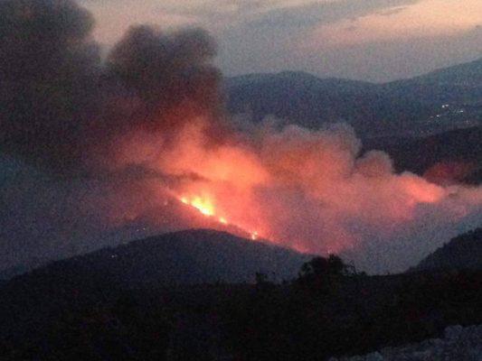 fotia-dervenoxoria-et-1000