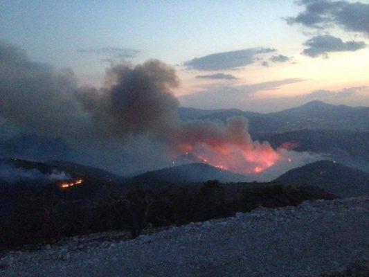 fotia-dervenoxoria-et2-1000