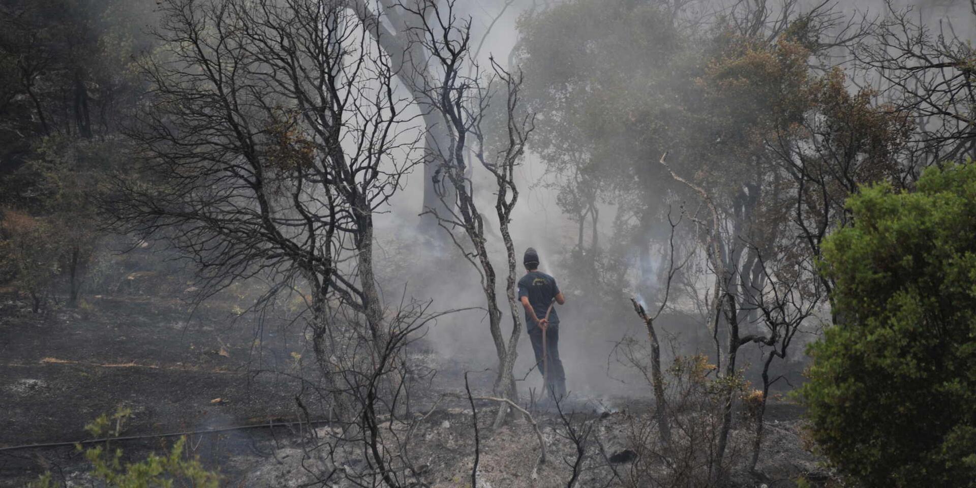 Σε ύφεση η πυρκαγιά στα Δερβενοχώρια – Σε επιφυλακή η πυροσβεστική
