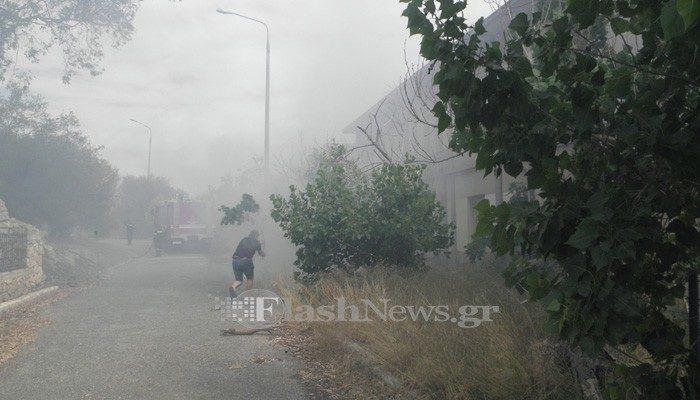 pirkagia-palio-psixiatrio-1092138