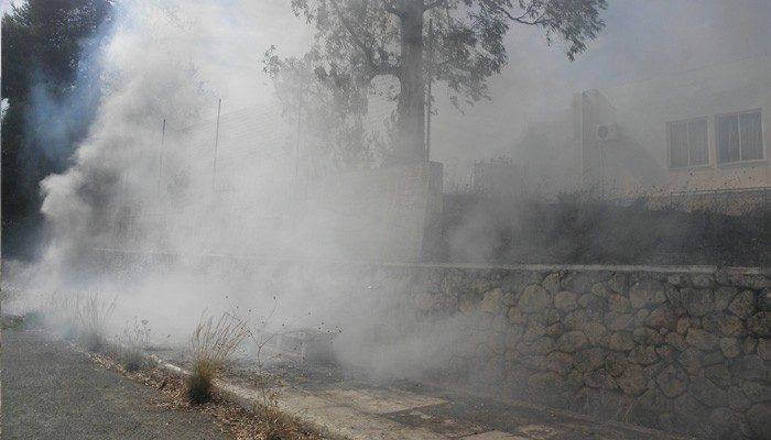 pirkagia-palio-psixiatrio-11