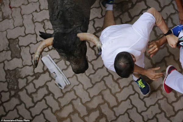 A reveler is chased by a fighting bull during the running of the bulls at the San Fermin Festival, in Pamplona, Spain, Saturday, July 9, 2016. Revelers from around the world arrive in Pamplona every year to take part in some of the eight days of the running of the bulls. (AP Photo/Daniel Ochoa de Olza)