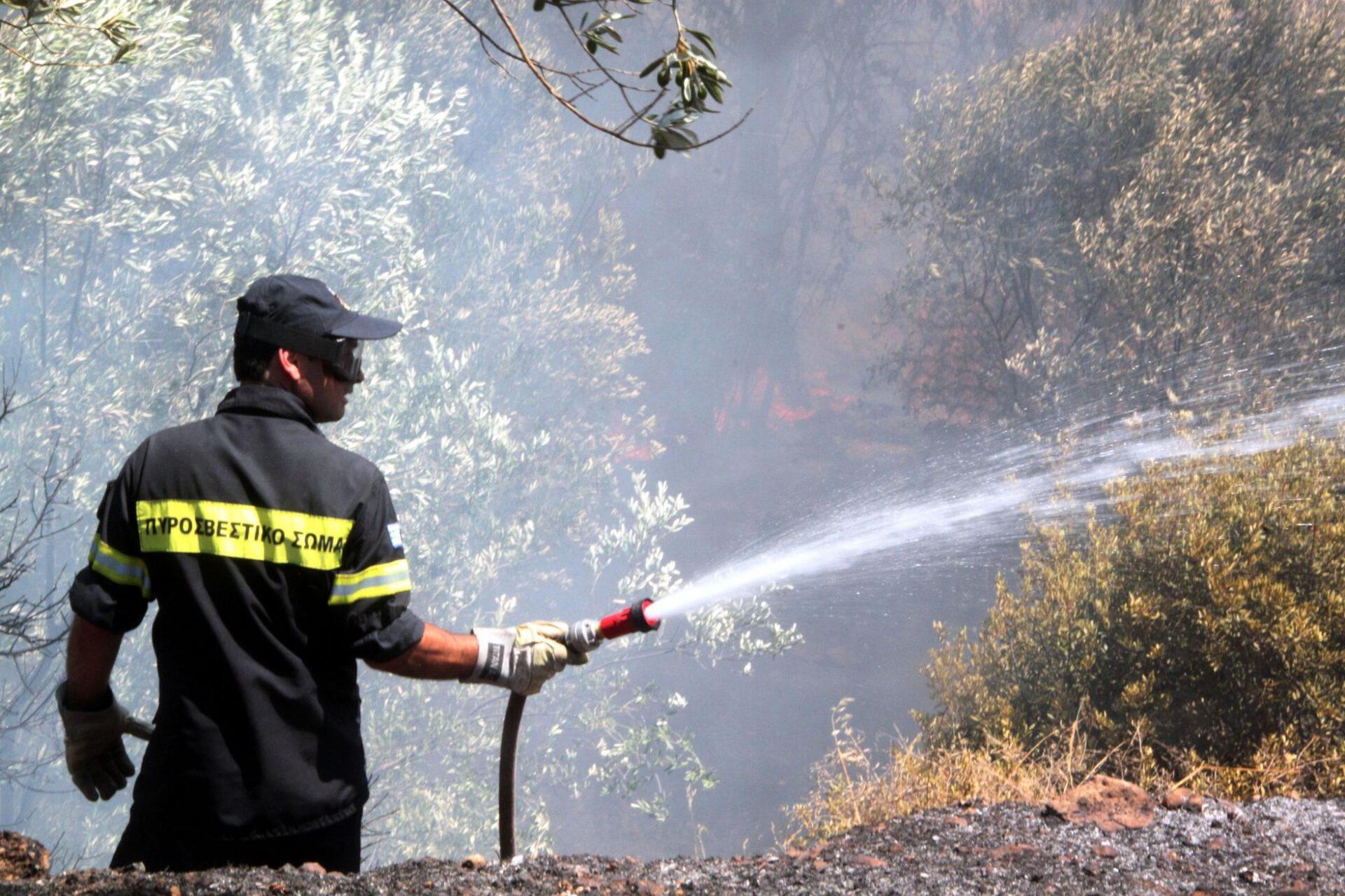 Υπό έλεγχο τέθηκαν οι δύο φωτιές στην Πελοπόννησο
