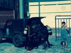 anapiriko-amaksidio-sea