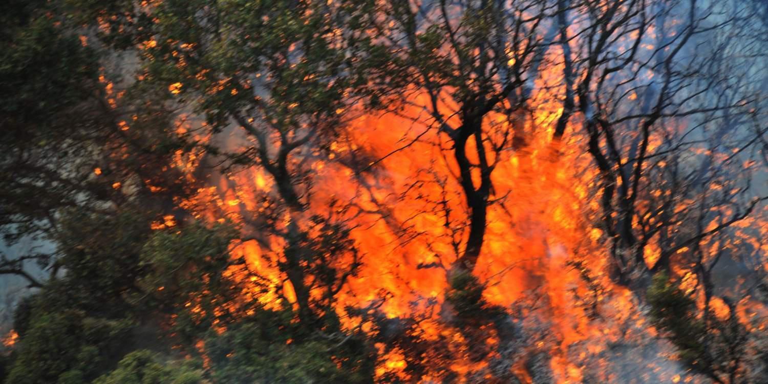 Μάχη με τις φλόγες στην Εύβοια – Εκκενώθηκε ξενοδοχείο και μονή