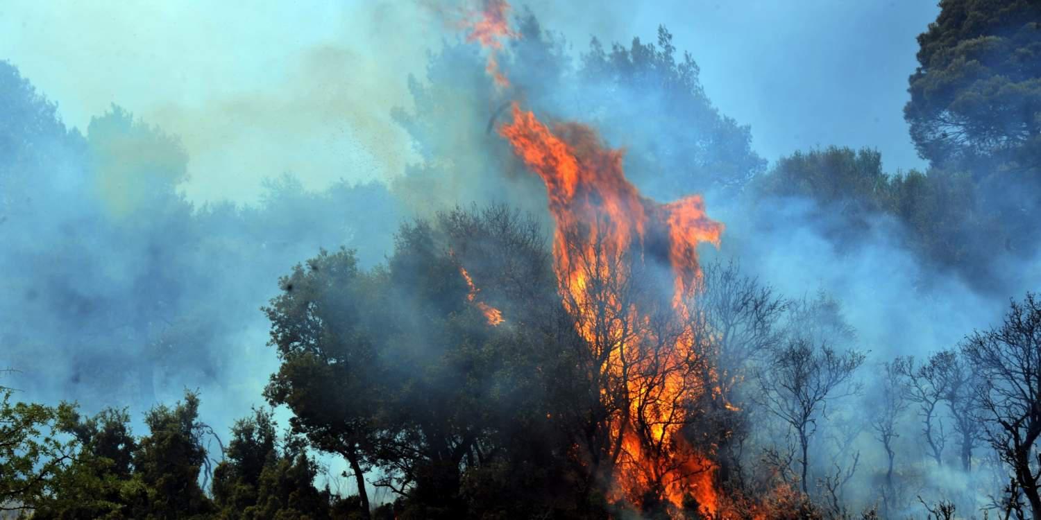 Μεγάλη φωτιά στην περιοχή του Καρά Τεπέ στην Μυτιλήνη [βίντεο]