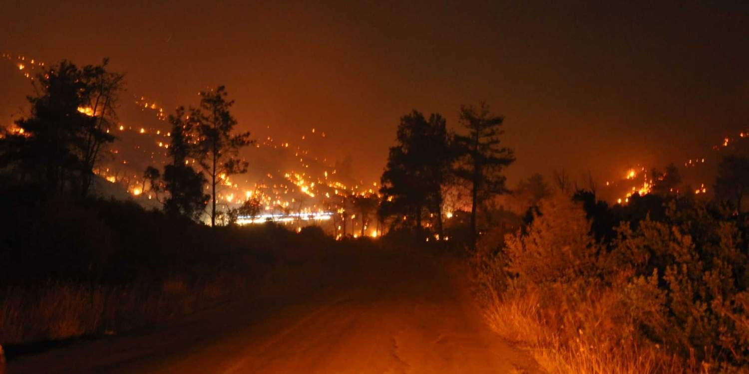 Συνδρομή Στρατού Ξηράς στην κατάσβεση των πυρκαγιών σε Χίο και Κάρυστο