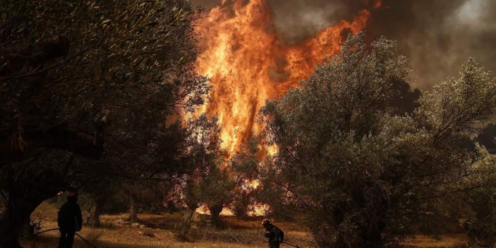 «Κόλαση» φωτιάς με τραυματίες και καμμένα σπίτια στην Θάσο [εικόνες & βιντεο]