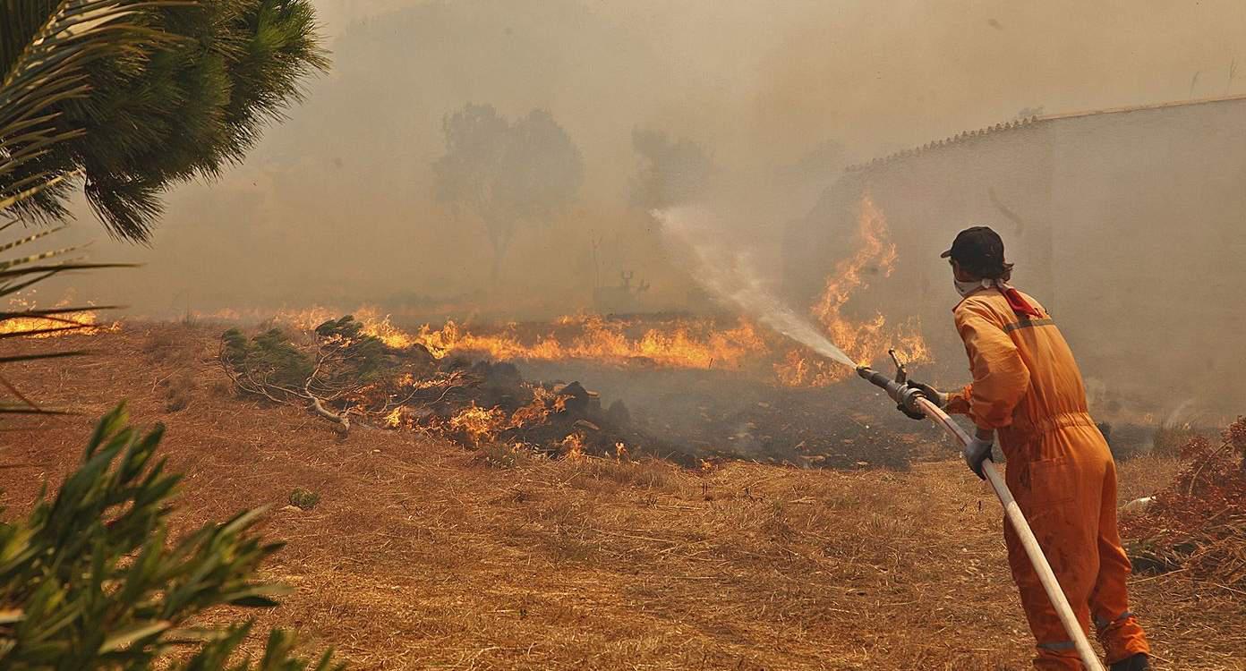 Σε πύρινο κλοιό Βόρεια Εύβοια, Ρέθυμνο και Τζια – Ανυπολόγιστες οι καταστροφές από τις πυρκαγι