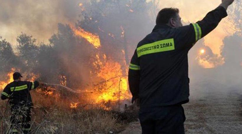 Υπό μερικό έλεγχο η φωτιά στο Κρανίδι Αργολίδας