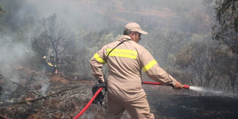 Σε ύφεση η πυρκαγιά στο Σιδηρόκαστρο Γυθείου