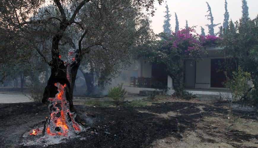 Μετράνε τις πληγές στην Εύβοια