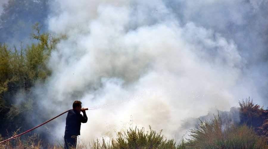 Σε ύφεση η φωτιά στην Άνω Ποταμιά Ακράτας στη Αχαΐα