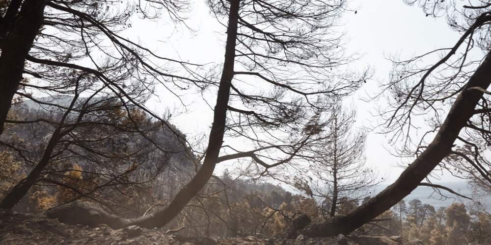 «Καμπανάκι» Λέκκα για τη Βόρεια Εύβοια: Έξι φορές μεγαλύτερος ο κίνδυνος κατολισθήσεων