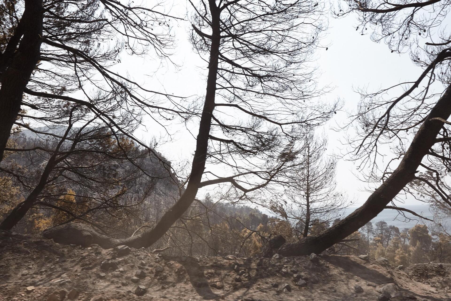 Λέκκας για τη Βόρεια Εύβοια: 6 φορές μεγαλύτερος ο κίνδυνος κατολισθήσεων