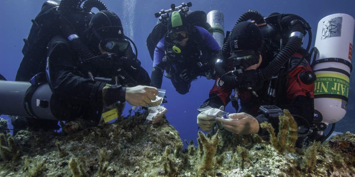Αυγουστιάτικη βουτιά στην Ιστορία