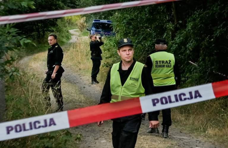 Πολωνία: Ομάδα εξερευνητών κυνηγούν θαμμένο τρένο των Ναζί