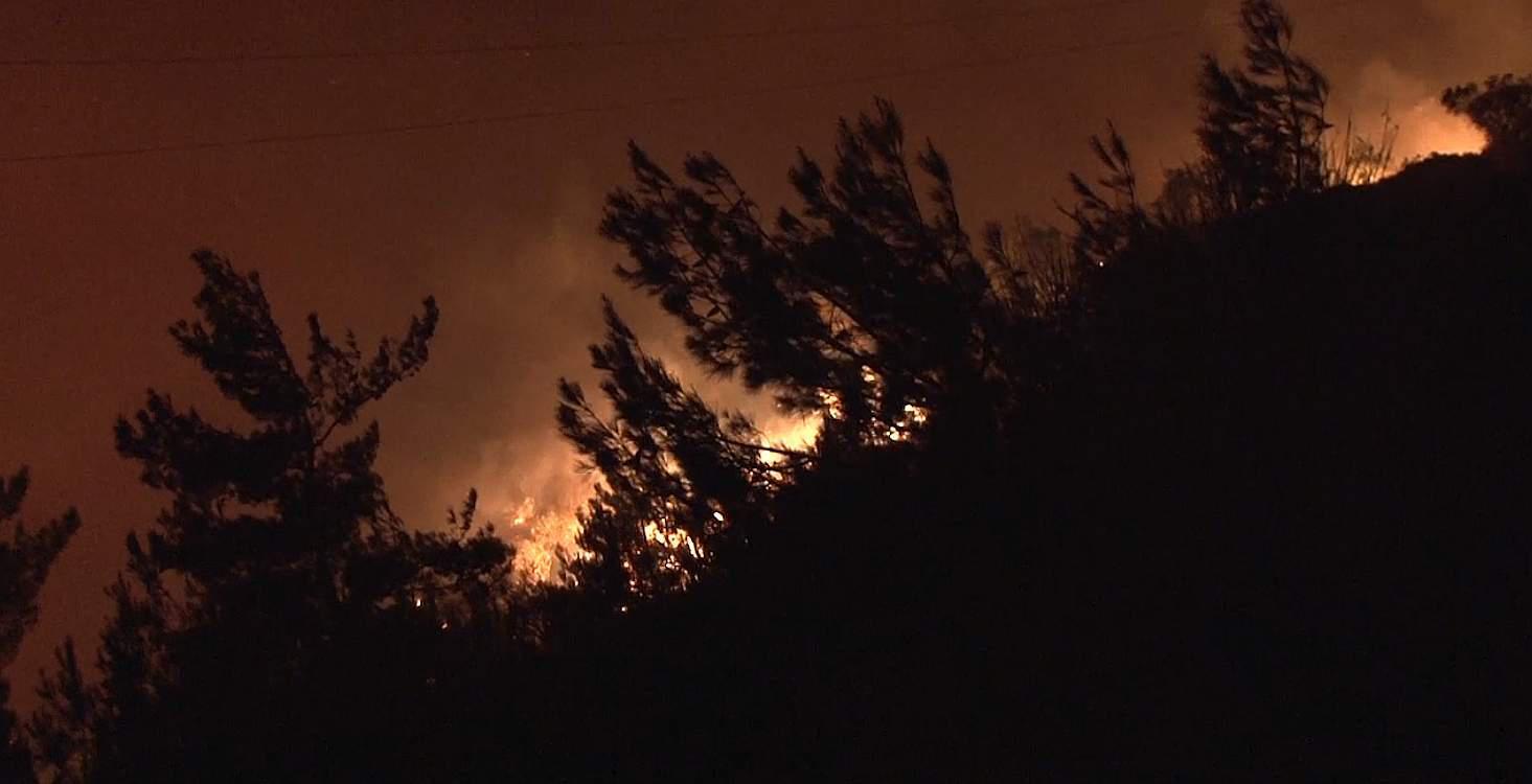 Σε ύφεση η πυρκαγιά που ξέσπασε στη βόρεια Χίο