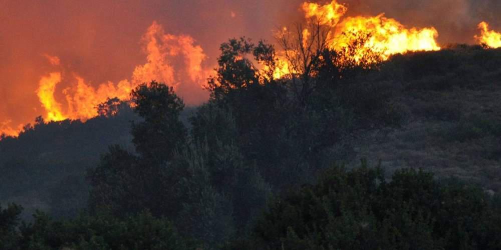 Σε εξέλιξη πυρκαγιές σε Ζάκυνθο, Ηλεία και Κέρκυρα