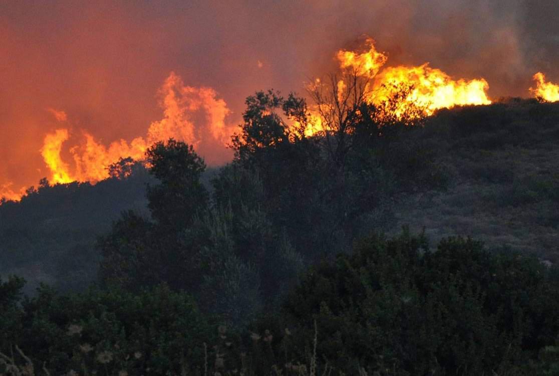 Σε εξέλιξη πυρκαγιές σε Ζάκυνθο, Ηλεία και Κέρκυρα
