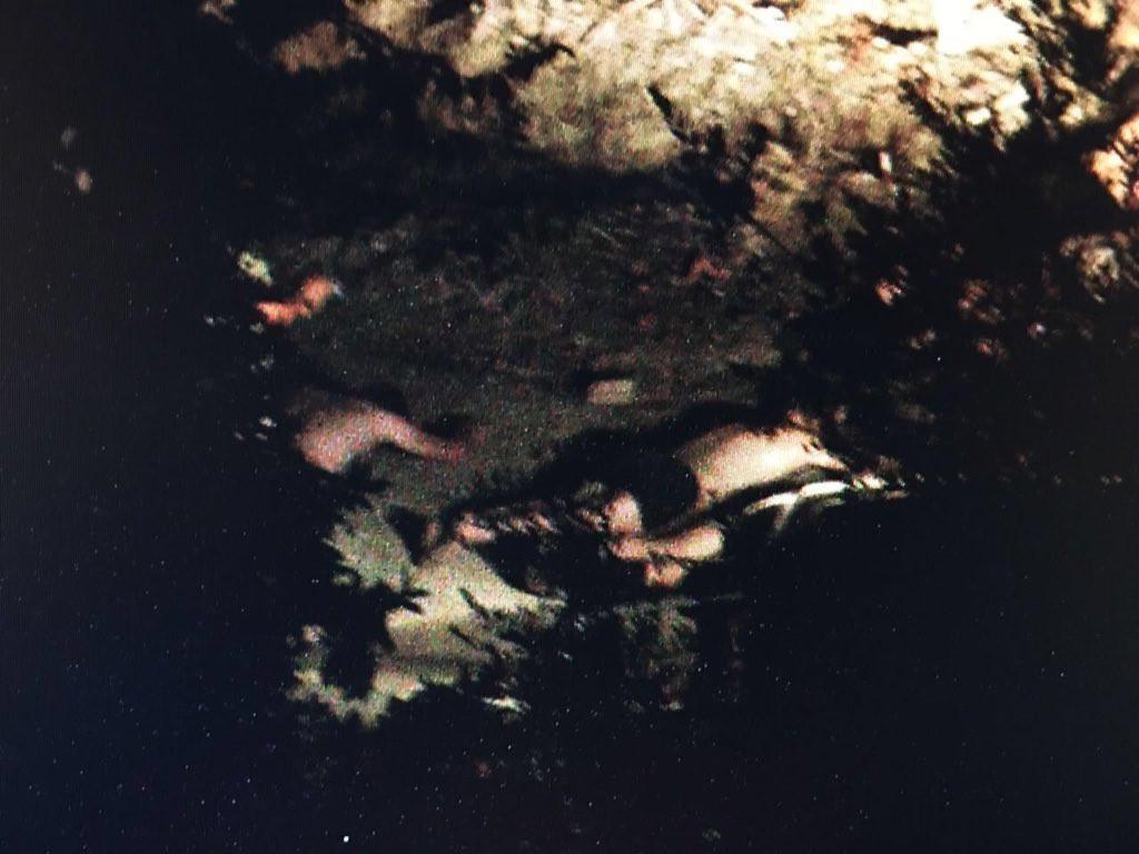 syllipsi-bereli2-1000