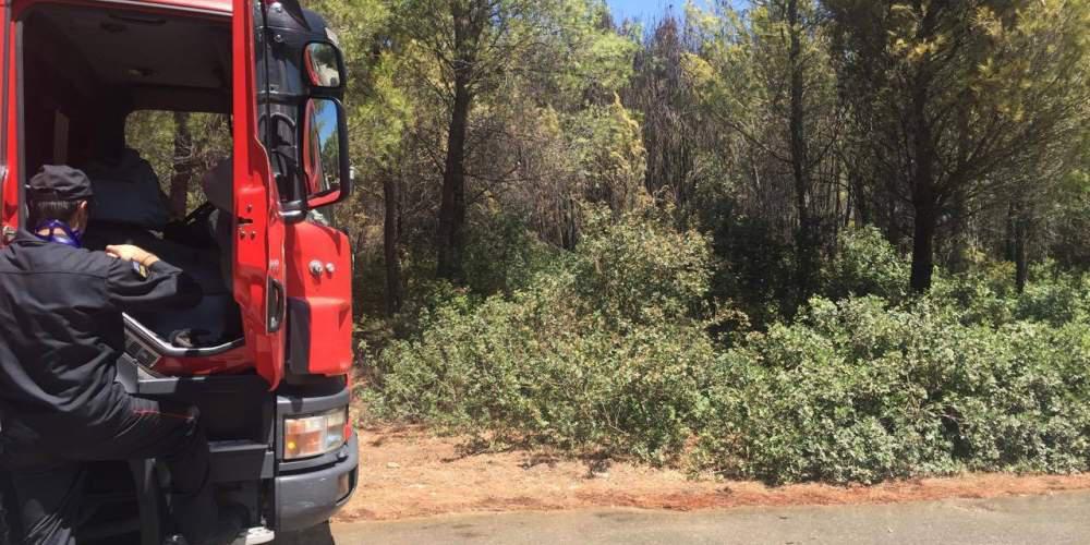 Υπό έλεγχο η φωτιά στη Βαρυμπόμπη [εικόνες]