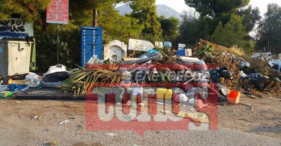 Καταγγελία: «Μας πνίγουν τα σκουπίδια στην Ερέτρια» [εικόνες]