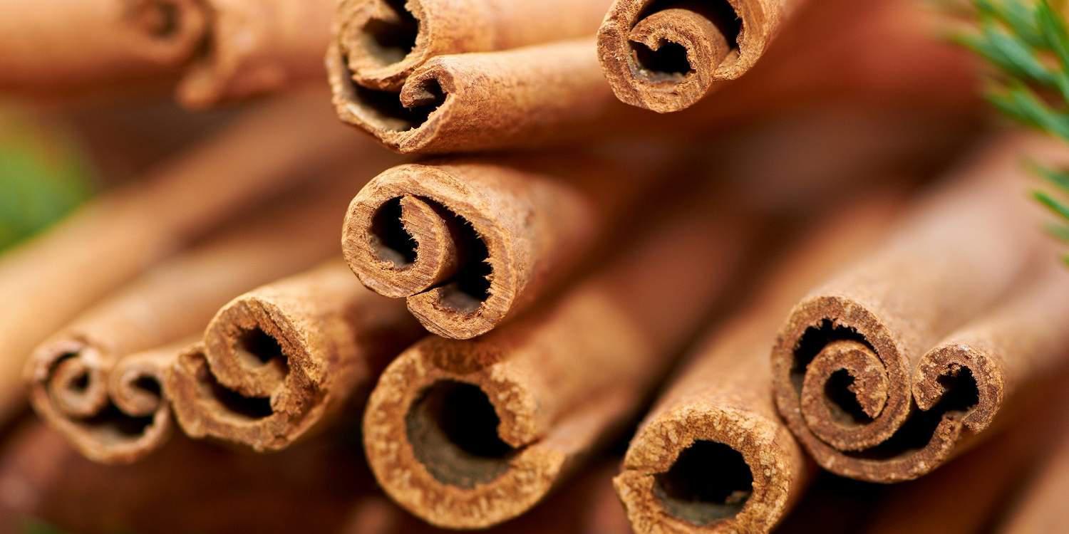 Κανέλα