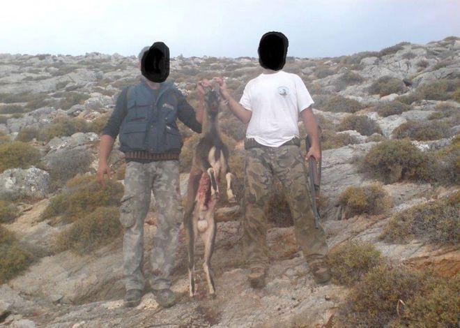 kri-kri-kriti-kinigoi-1300