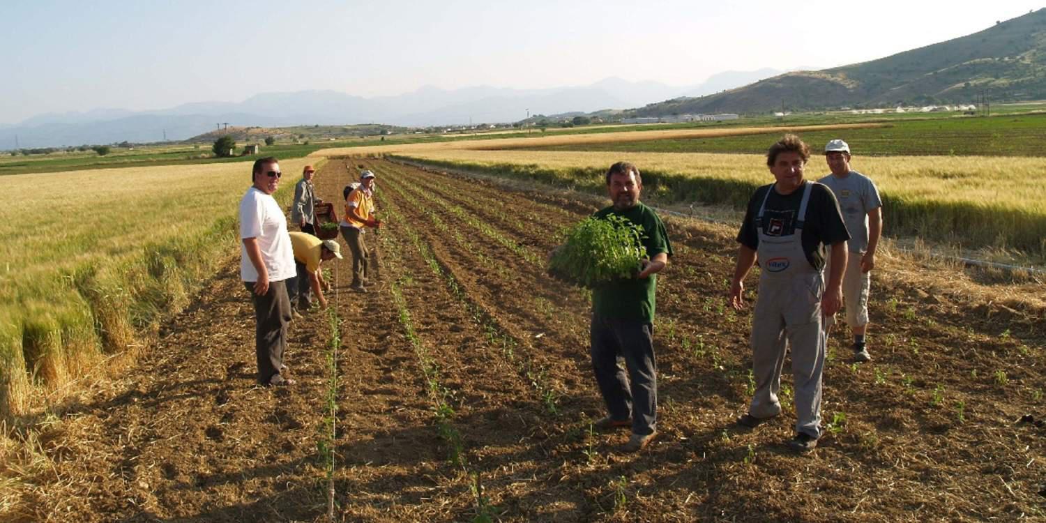 Νόμιμο μεροκάματο σε παράτυπους μετανάστες