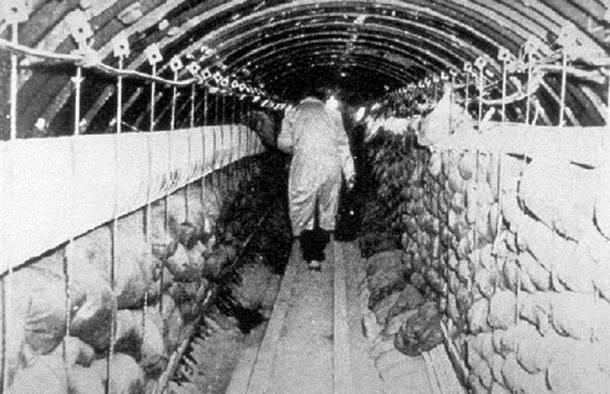 mustikes-apostoles-11