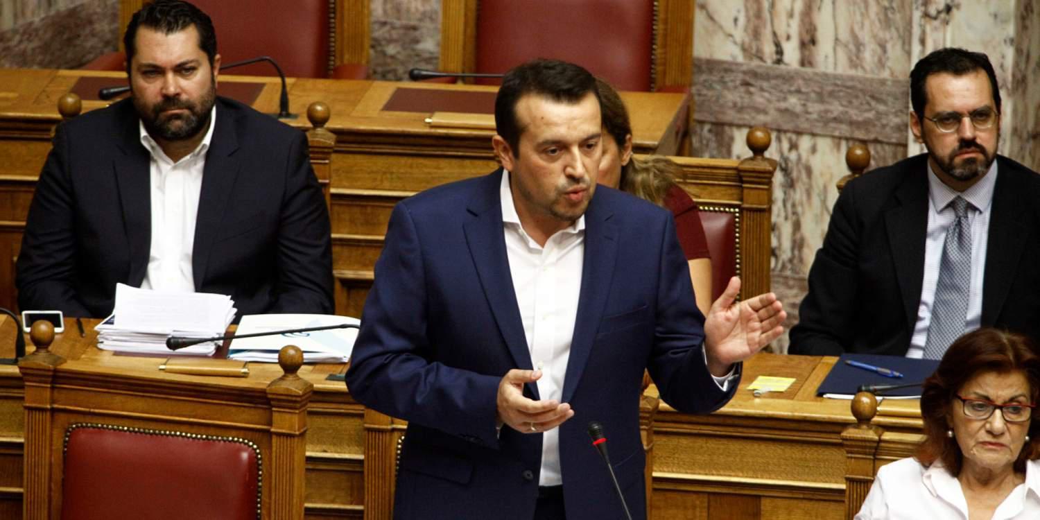 Παππάς για Καλογρίτσα: Πλημμύρισε το internet με «βοσκοτόπια και γίδια»
