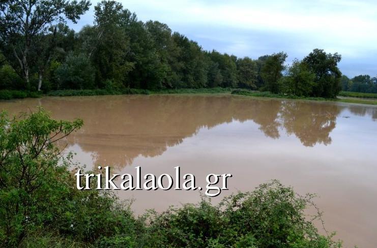 Αυτοπροσχέδιο