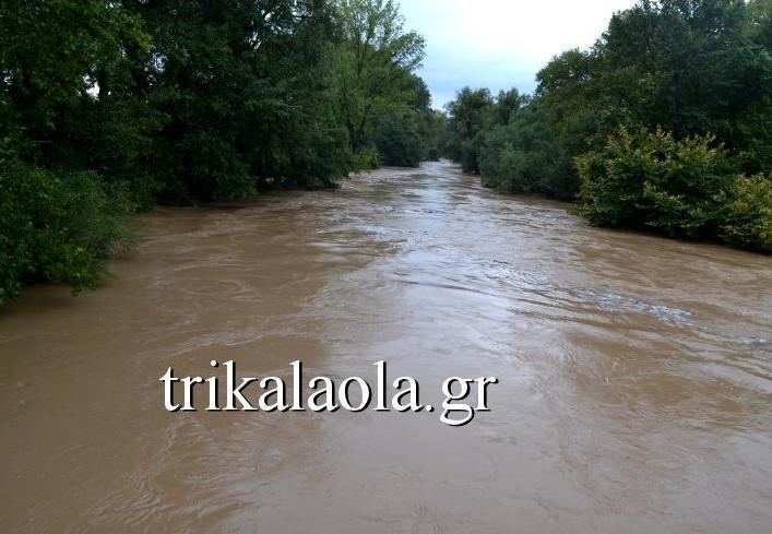 Αυτοπροσχέδιο