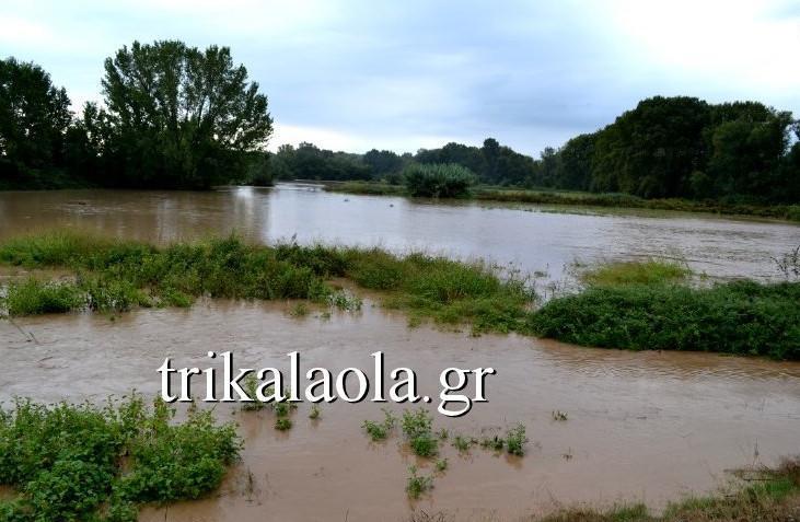Αυτοπροσχέδιο