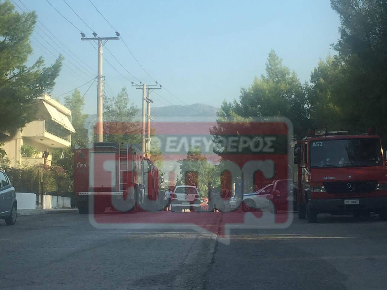 pyrkagia-menidi-1300