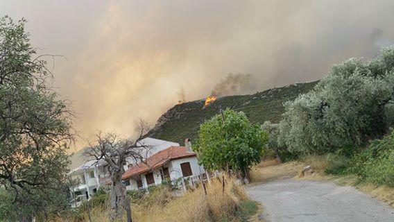 thasos-kaigetai-1300