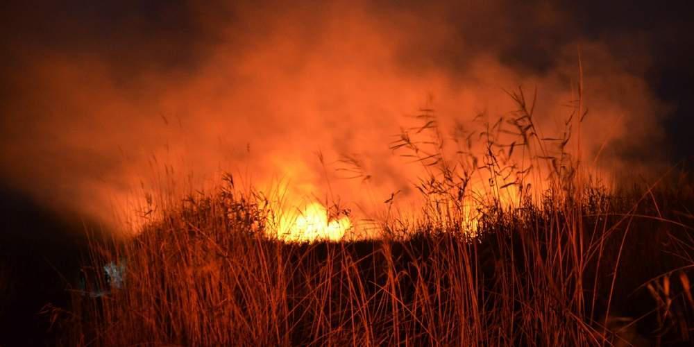 Αυτές είναι οι περιοχές που κινδυνεύουν με πυρκαγιά [εικόνα]