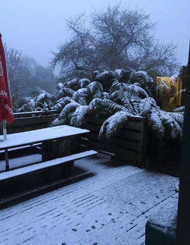 australia-xioni-kalokairi-1300-2