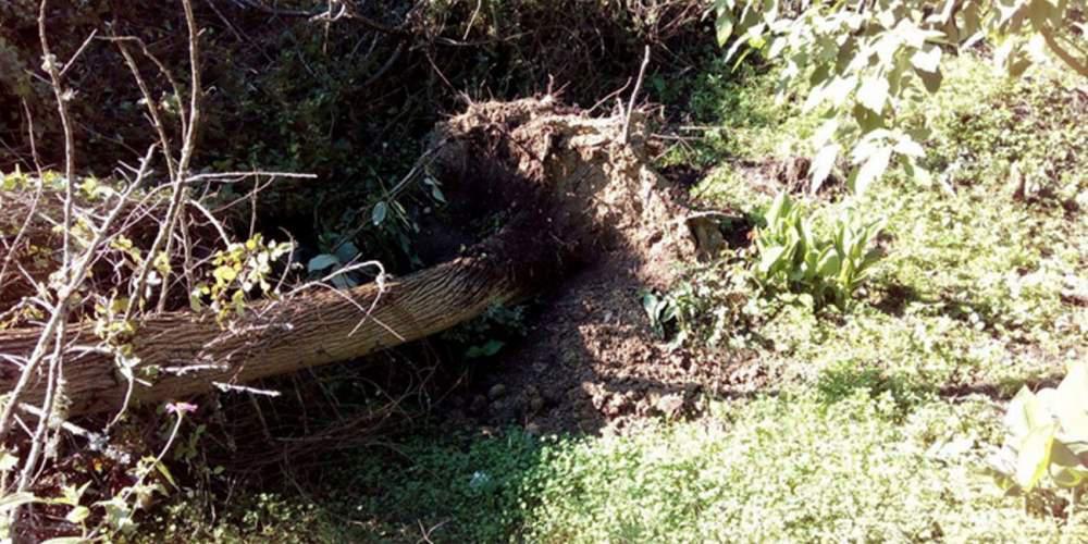 Στο σκοτάδι βύθισε την Κέρκυρα η κακοκαιρία [εικόνες]