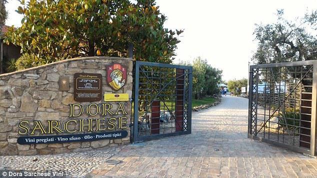 Αυτοπροσχέδιο