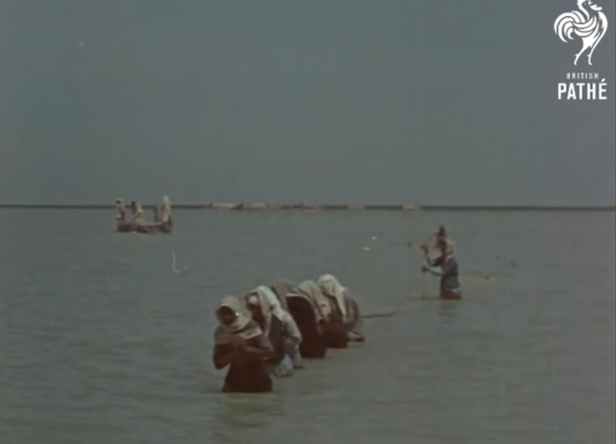 Αυτοπροσχέδιο