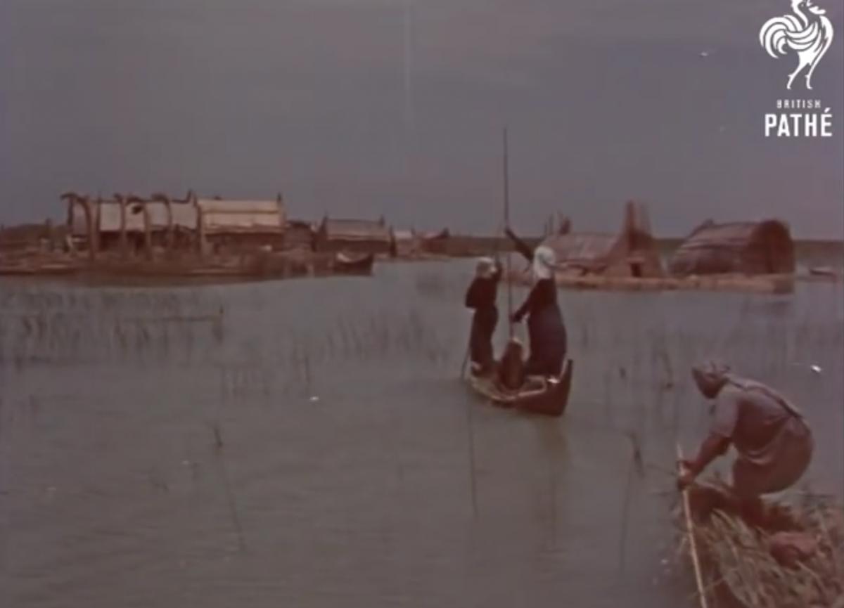 Αυτοπροσχέδιο