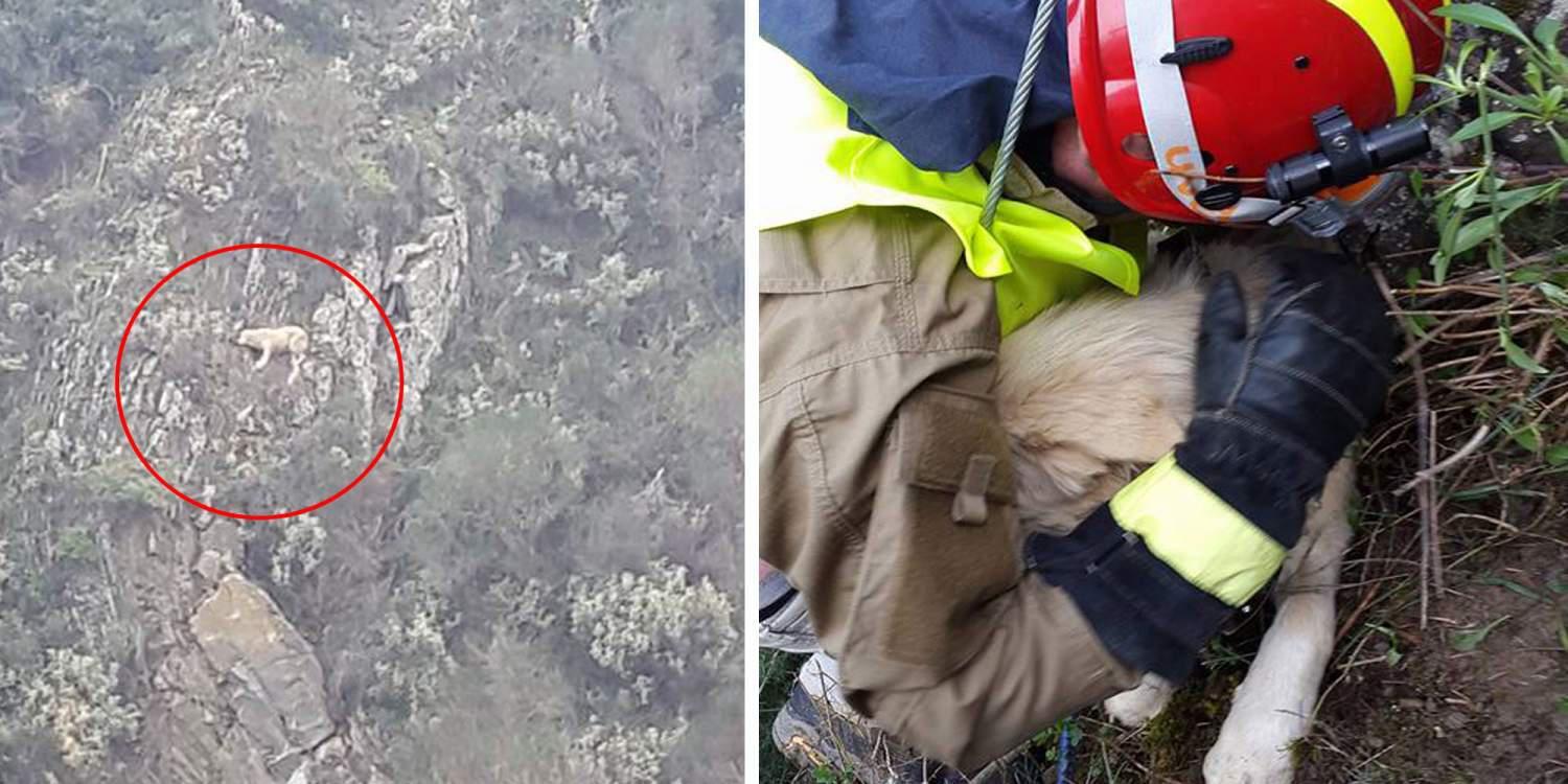 Ο Hero ήταν τρεις μέρες εγκλωβισμένος σε ένα βράχο στην Αράχοβα και τώρα χρειάζεται τη βοήθειά σας