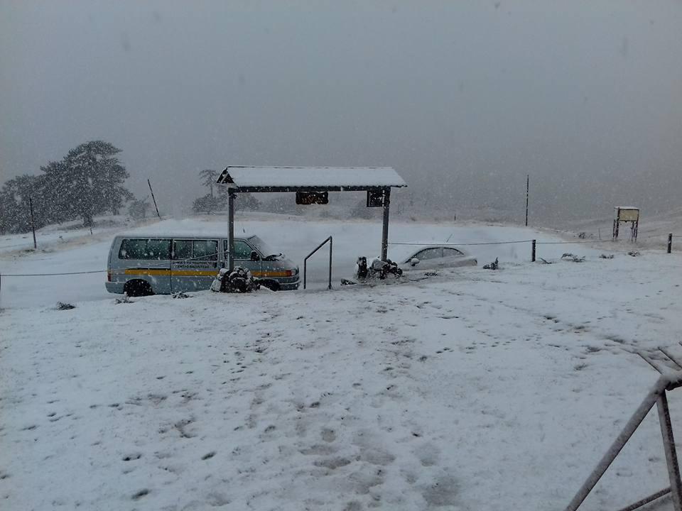 14963407_1492781427415543_4635977051498935872_n